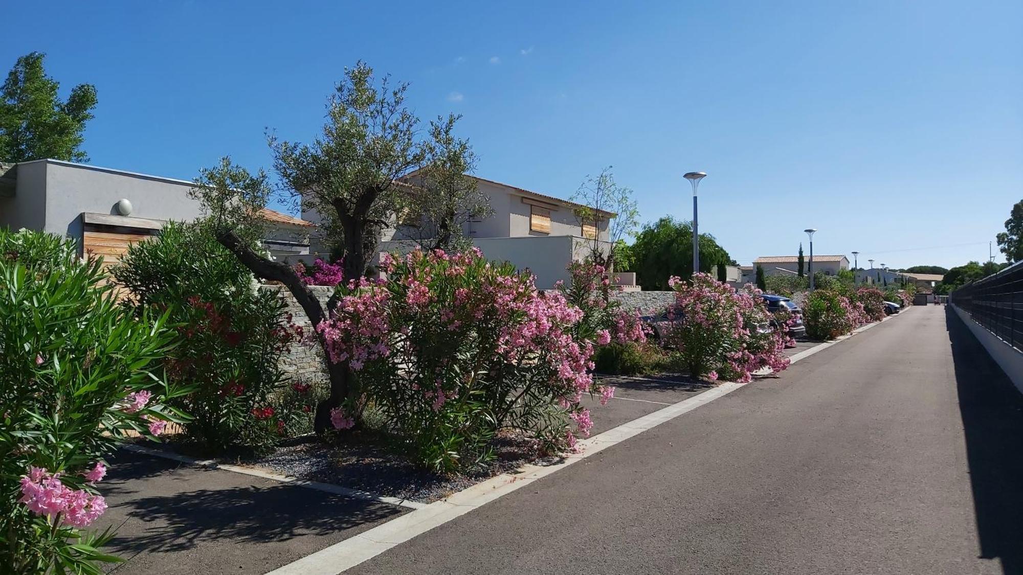 Villa Home Holiday A Cala Rossa Lecci Eksteriør bilde