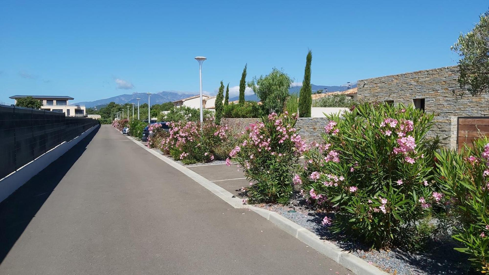 Villa Home Holiday A Cala Rossa Lecci Eksteriør bilde